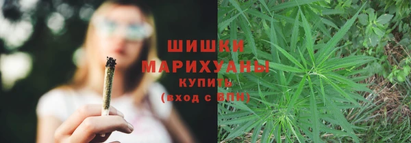 кокс Белокуриха