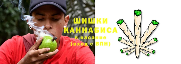 кокс Белокуриха