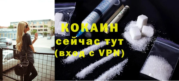 кокс Белокуриха