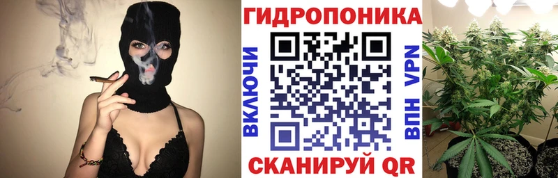 Шишки марихуана конопля  Купить где  Кологрив 